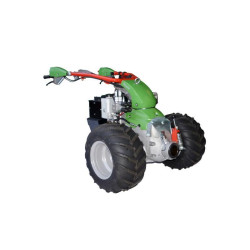 RAPID VAREA S161