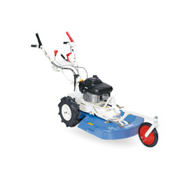 DEBROUSSAILLEUSE ISEKI SHE...