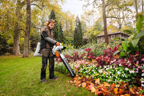 Conseils d'automne : comment bien entretenir son jardin avant l'hiver ! 